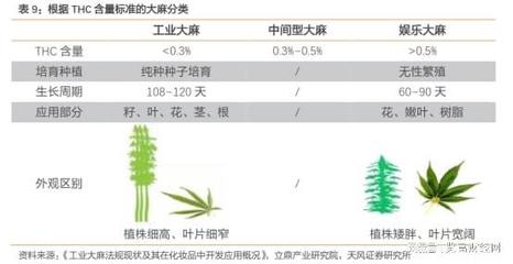 莱茵生物:工业大麻、代糖双主业并行,植物提取龙头地位逐步显现