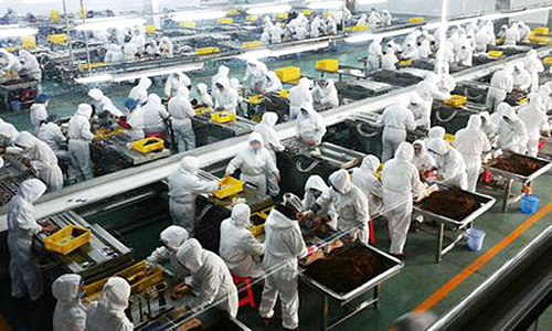 天然植物提取物 食品工业的下一个“宠儿”？